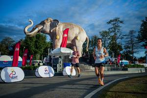 BIB: 
                            <button type="button" onclick="openModal(26541551)" class="btn btn-primary btn-sm float-right btn-popup" data-toggle="modal" data-target=".modal-high-quality">
                        <i class="fas fa-shopping-cart"></i> Add to Cart
                    </button>
                                            <button type="button" onclick="isThisMe(26541551, true)" class="btn btn-success btn-sm float-right btn-popup btn-isme hidden" data-toggle="tooltip" data-placement="bottom" title="นี่คือรูปของคุณใช่ไหม คลิกที่นี่เพื่อเอาเข้าอัลบั้ม">
                        <i class="fas fa-plus"></i> Add to album
                    </button>
                    <button type="button" onclick="isThisMe(26541551, false)" class="btn btn-warning btn-sm float-right btn-popup btn-isnotme hidden">
                        <i class="fas fa-ban"></i> Remove from album
                    </button>